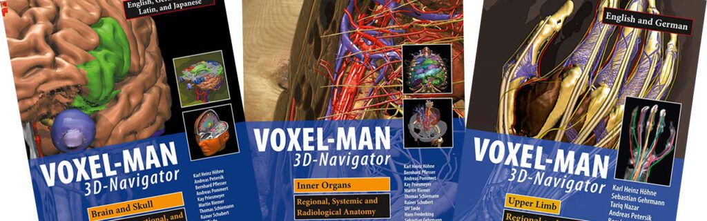 その他 VOXEL-MAN 3D-Navigator: Inner Organs. VOXEL-MAN 3D Navigators – Atlases of Anatomy and Radiology