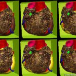 Atrial fibrillation without directional excitation propagation