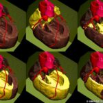 Physiological cardiac excitation propagation
