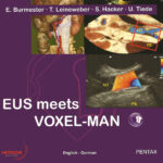 Couverture de EUS meets VOXEL-MAN