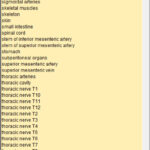 Liste der anatomischen Objekte