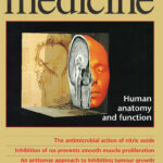 VOXEL-MAN auf dem Titel von Nature Medicine