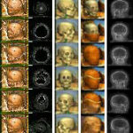 Interactive scenes of the Virtual Mummy