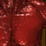 Shoulder of the male Visible Human