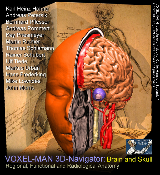 Start screen of VOXEL-MAN Navigator/Brain and Skull