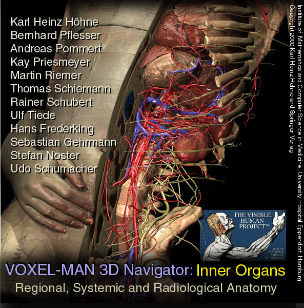 Title page of the VOXEL-MAN/Inner Organs Atlas