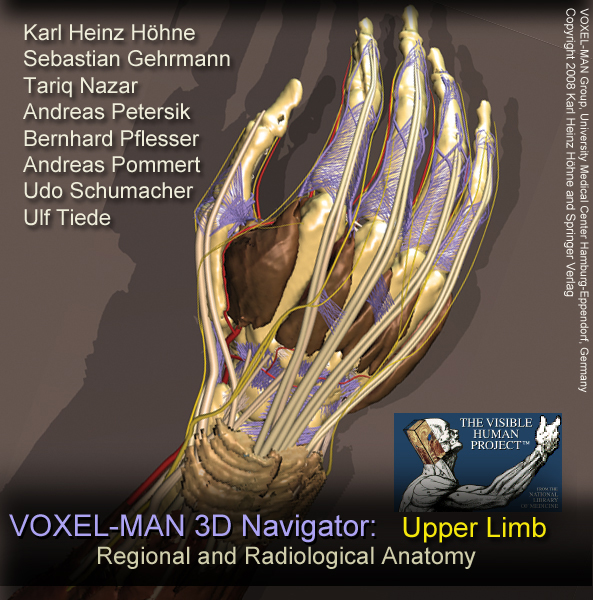 VOXEL-MAN/Upper Limb: Start screen